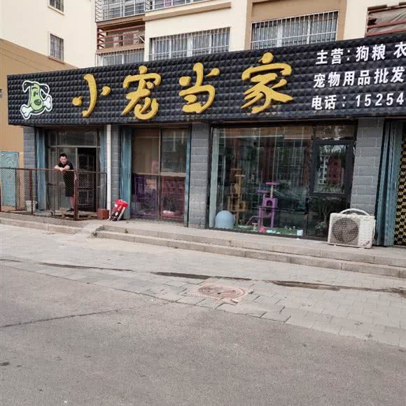 小宠当家