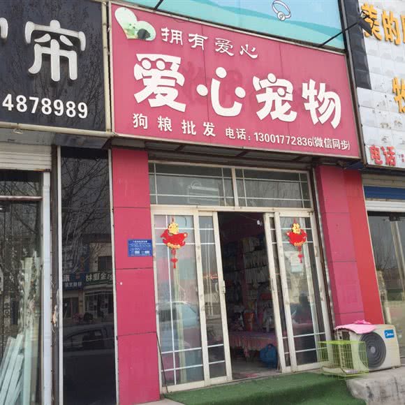 拥有爱心爱心宠物