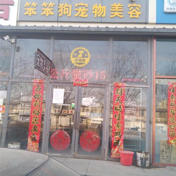 笨笨狗宠物美容