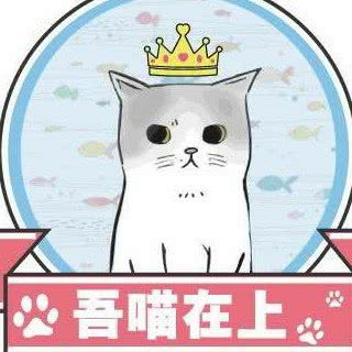 吾喵在上猫咪生活馆(南阳路店)