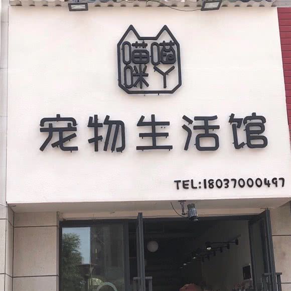 喵喵咪丫宠物狗生活馆