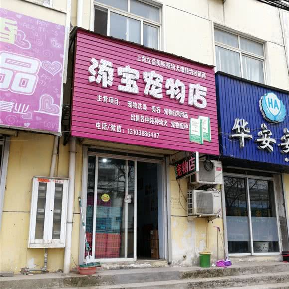 添宝宠物店