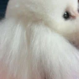 希萌宠吧