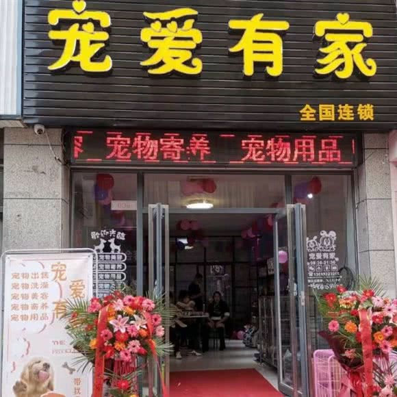 宠爱有家