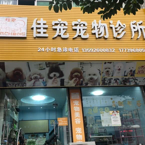 佳宠宠物诊所