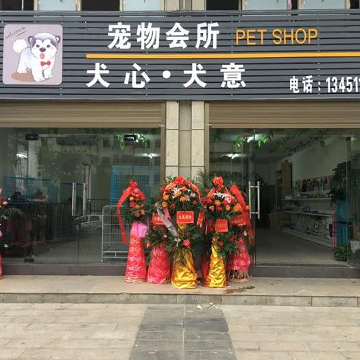 犬心犬意宠物会所