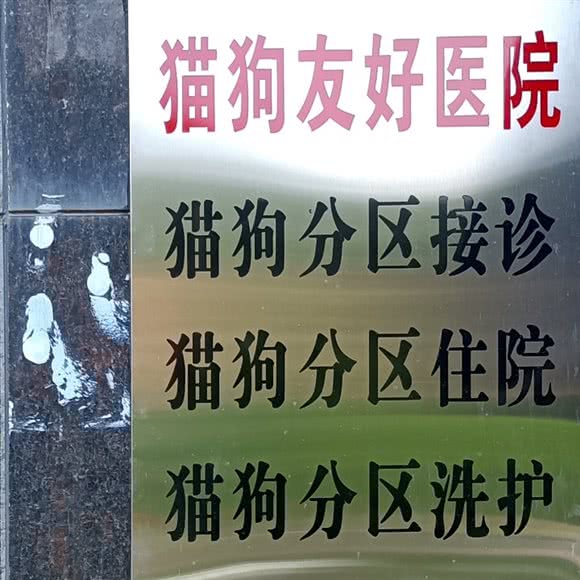 民星动物医院·犬猫专科·猫咖
