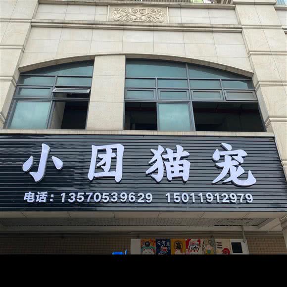 小团猫宠(罗马家园店)猫狗精致SPA 撸猫