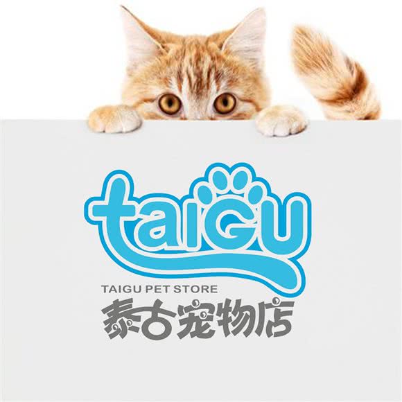 泰古宠物生活