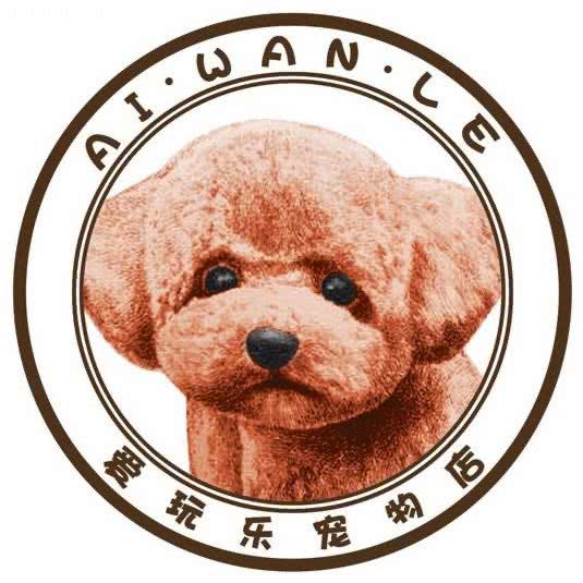 爱玩乐宠物店