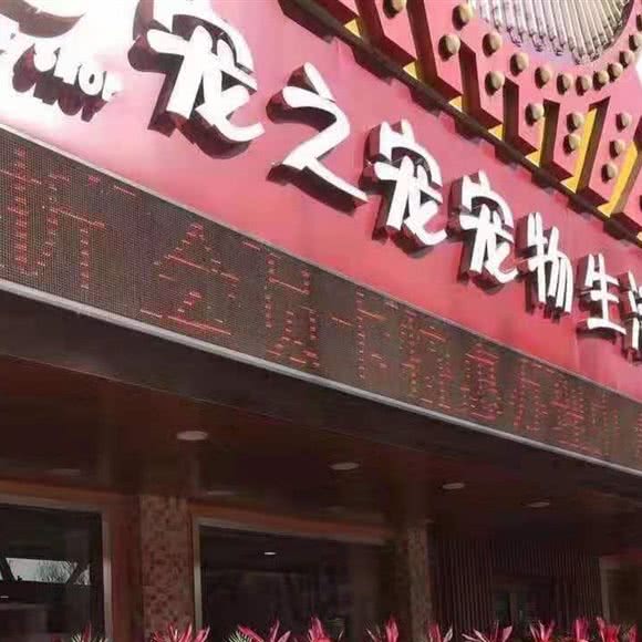 宠之宠宠物狗生活馆