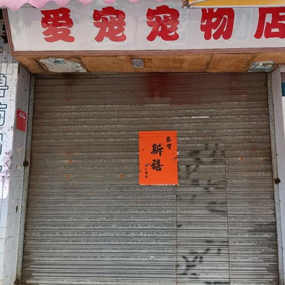 陆丰爱宠生活馆