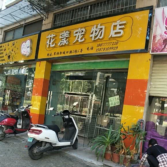 花漾宠物店宠物用品超市