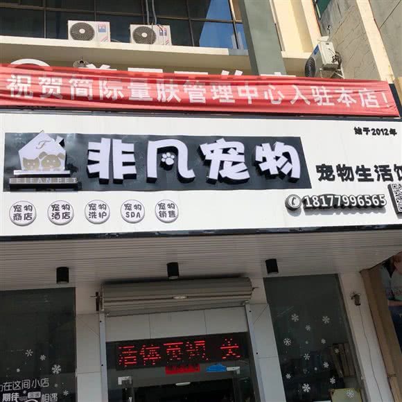 非凡狗狗