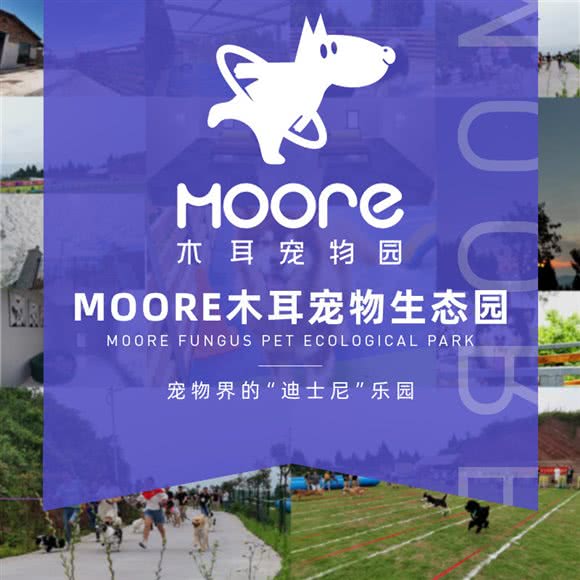Moore木耳宠物园