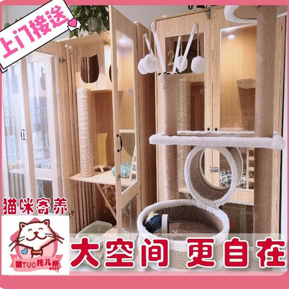 猫TUO托儿所