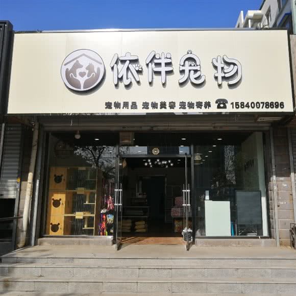 依伴宠物