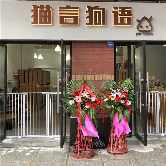 猫言狗语咖啡店
