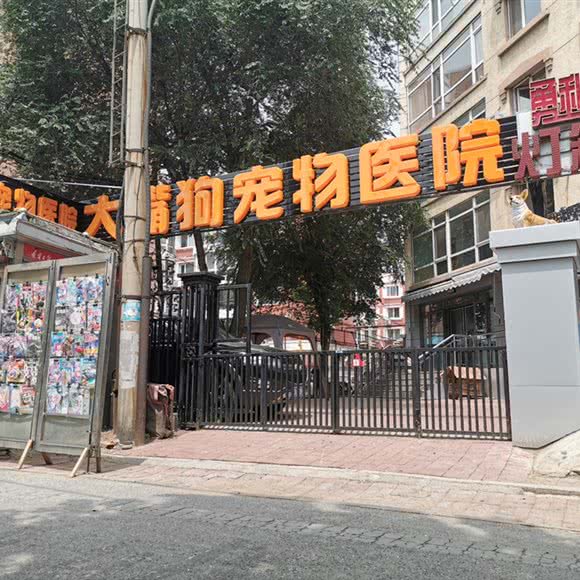 大嘴狗宠物医院