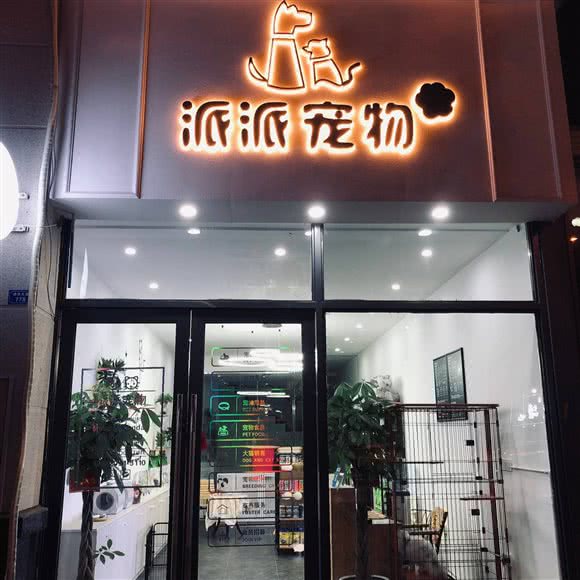 派派宠物