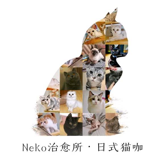 Neko治愈所·西式猫咖