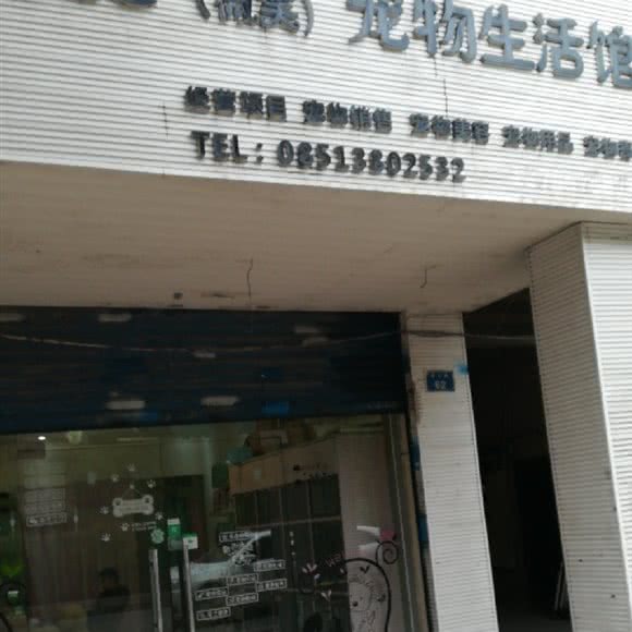微笑宠物生活馆