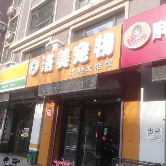 洛美宠物