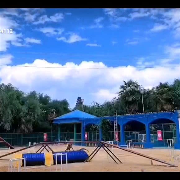 爱宠爱宠物乐园