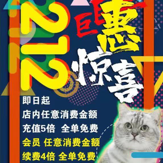 ANi-U宠物生活馆(启工店)
