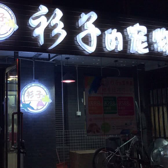 衫子的的宠物店
