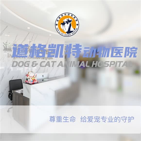 道格凯特动物医院