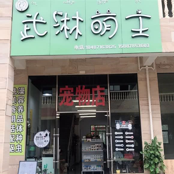 武淋萌主宠物店