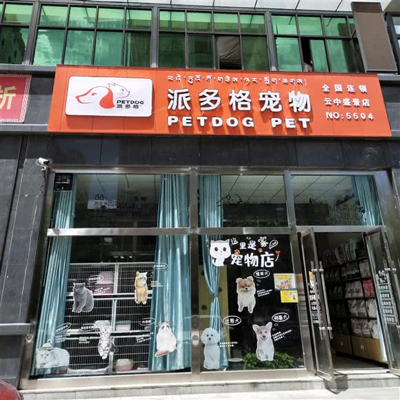 派多格宠物(云中盛景店)