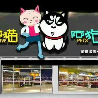 阿猫阿狗
