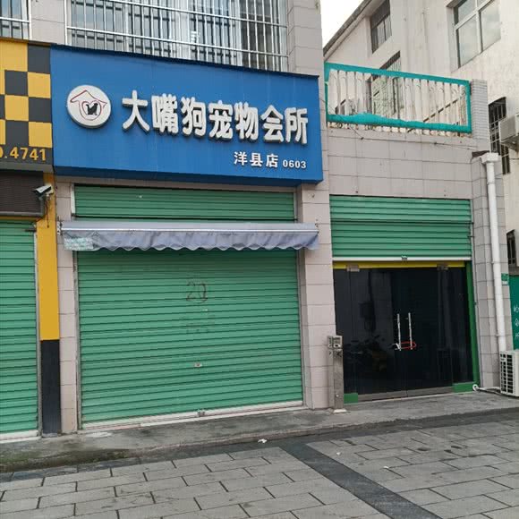 大嘴狗宠物会所(洋县店)
