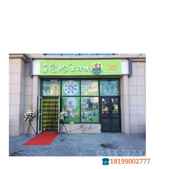 总店大唐宠物生活馆