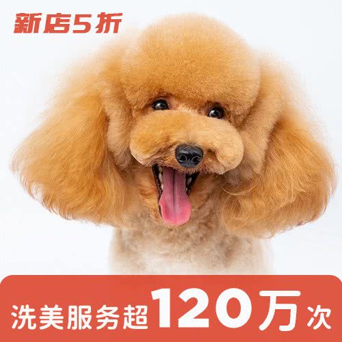 宠物家(奥运村店)
