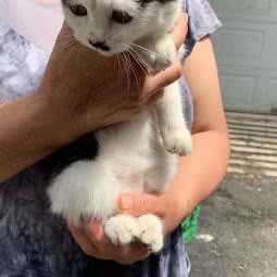 悦泽宠物美发