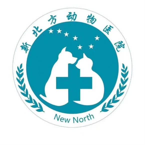 新北方宠物医院猫专科
