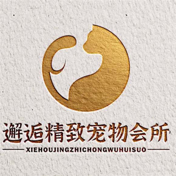 邂逅精致宠物会所