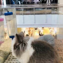 卖萌(和平广场店)