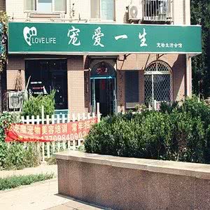 宠爱一生(泡崖子店)