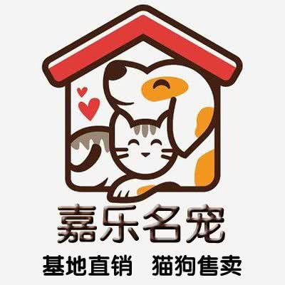 嘉乐名宠 · 宠物猫狗售卖