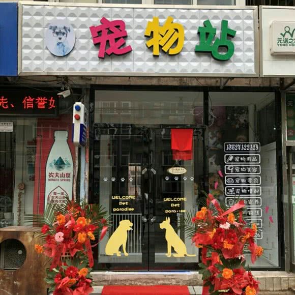南希宠物狗站