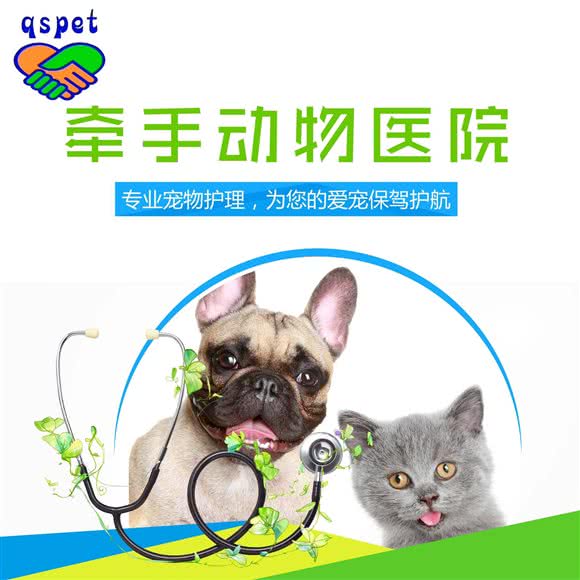 牵手宠物医院