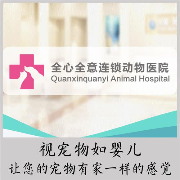 全心全意连锁动物医院(会城门分院)