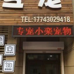专宠