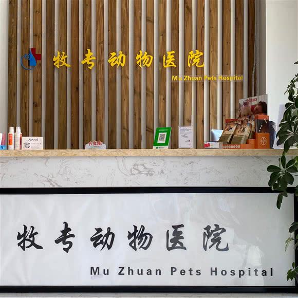 牧专宠物医院(江北店)