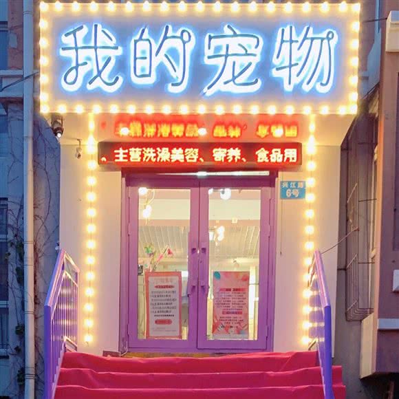 我的宠物店