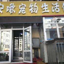 安啾宠物生活馆